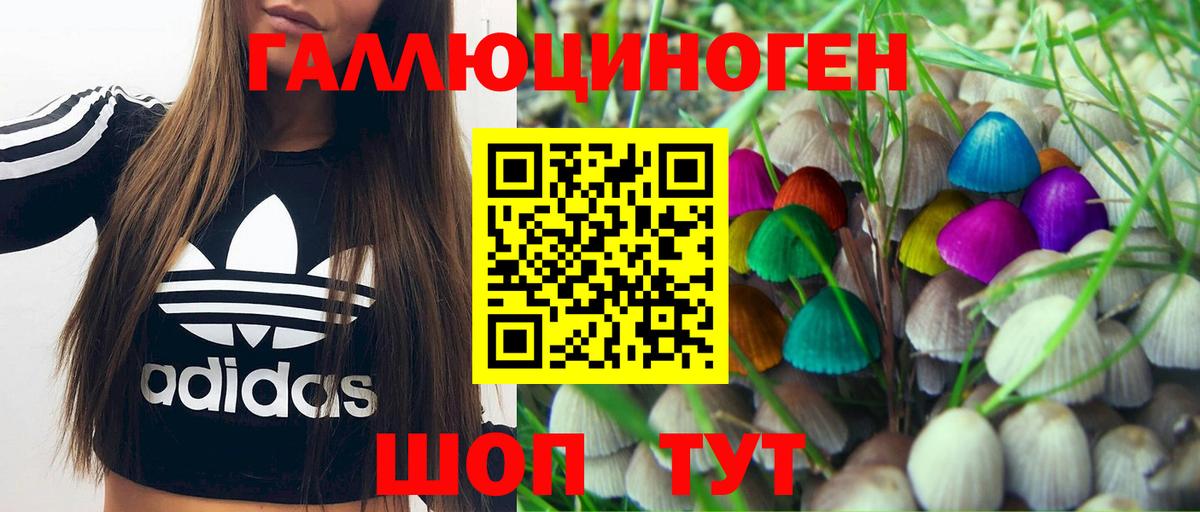 Псилоцибиновые грибы мицелий Кировск