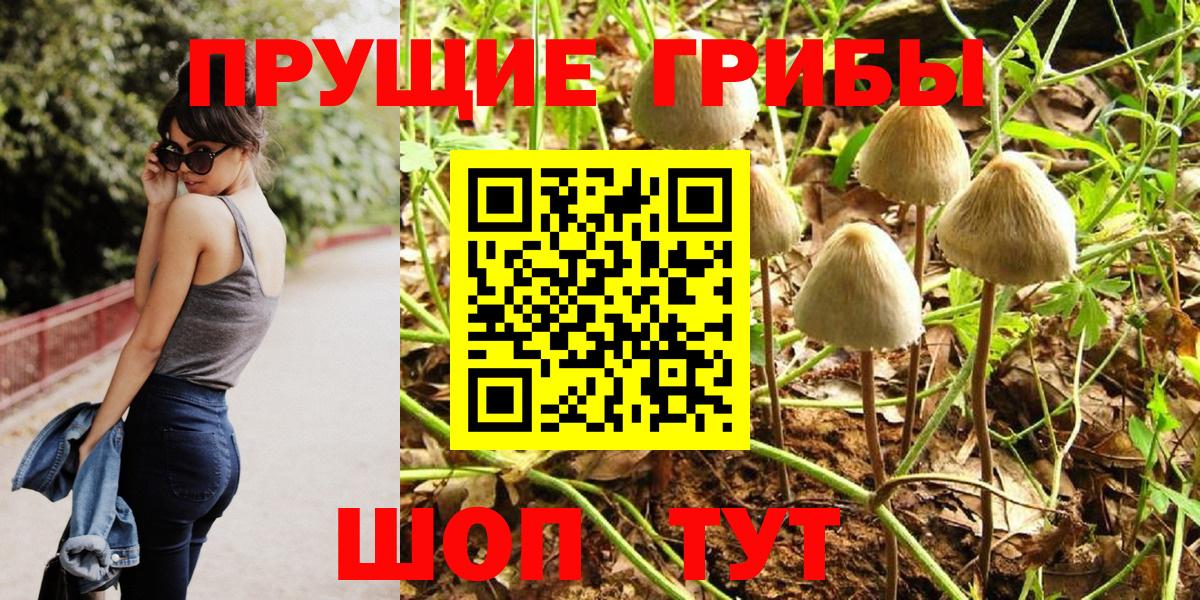 Галлюциногенные грибы мицелий  Псилоцибиновые грибы Cubensis  Кировск  Вход с VPN 
